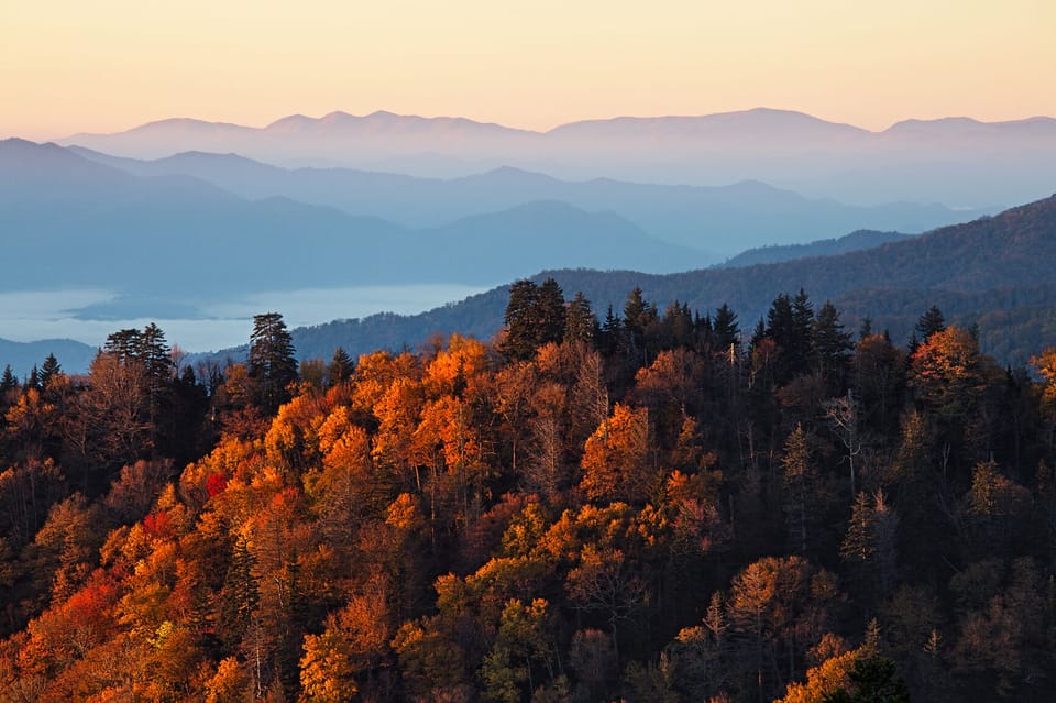 Come and stay with us while you delight yourself in the beauty of the Great Smoky Mountains.