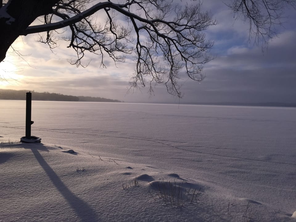 View of Lake from Yard