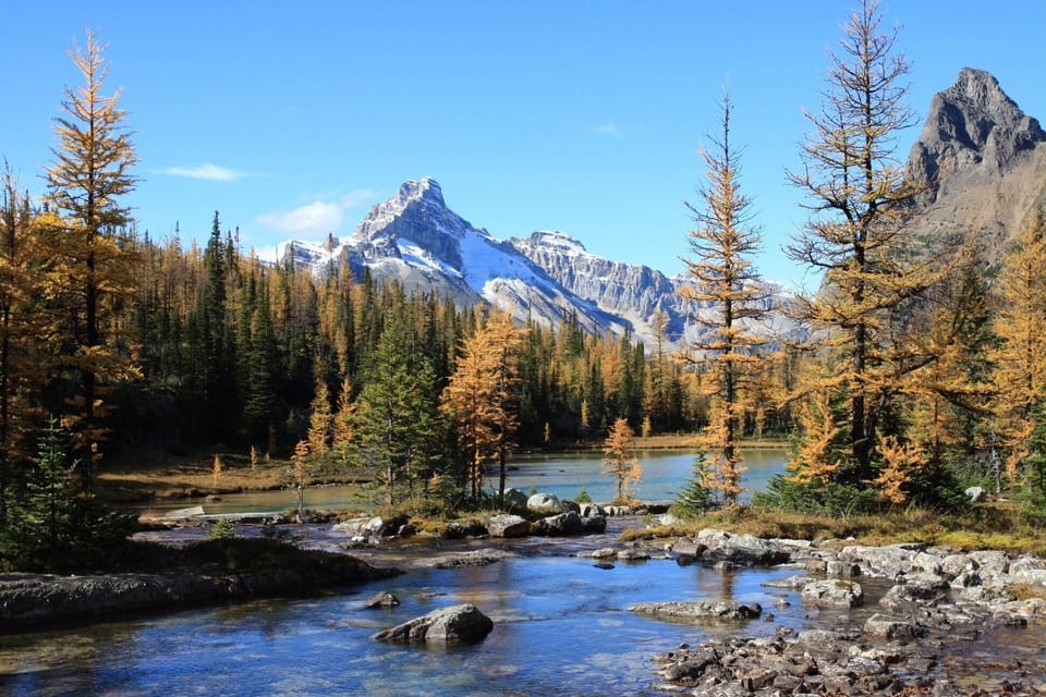 Cascade Lakes in Lake O'Hara area, reservation required.