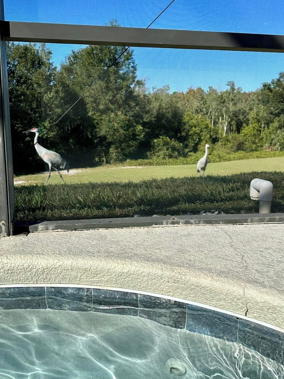 View from property