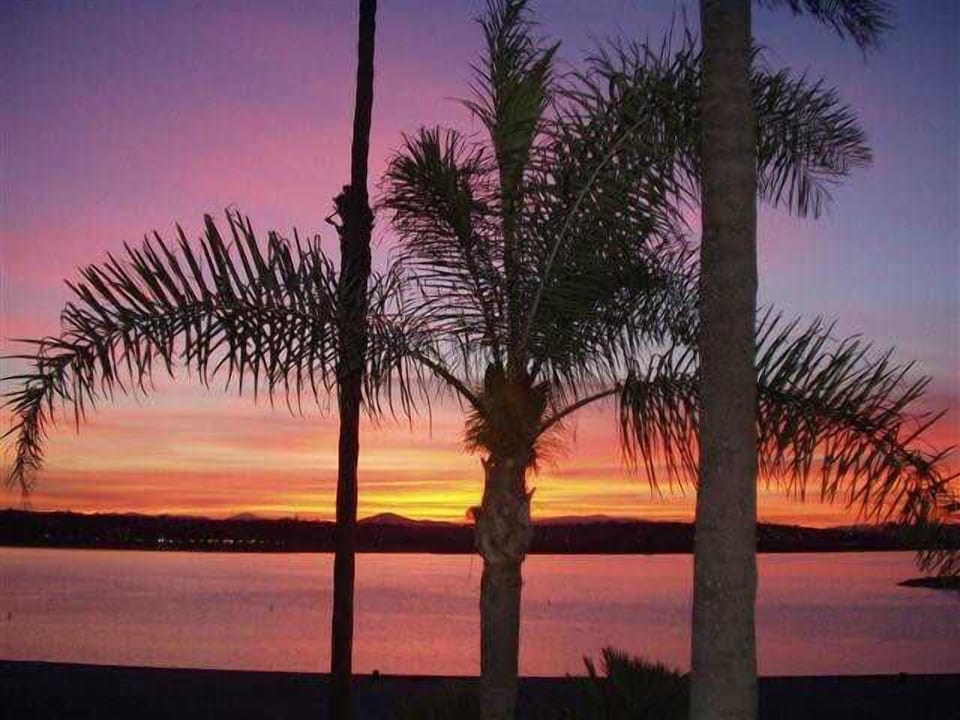 Sail Bay at sunset