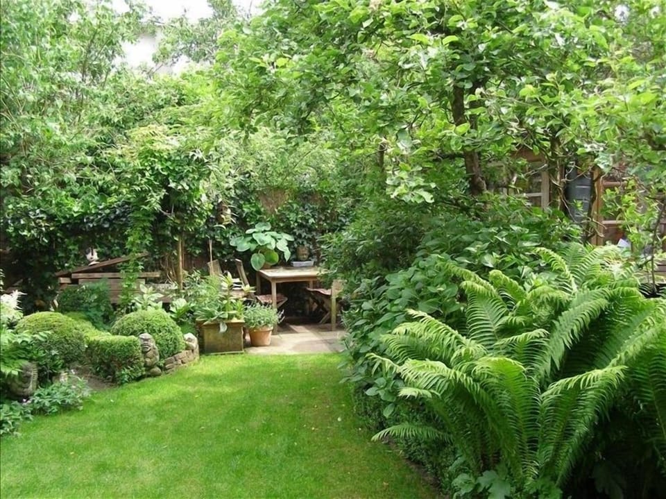Wonderful green garden in centre of Amsterdam a hidden oasis. 