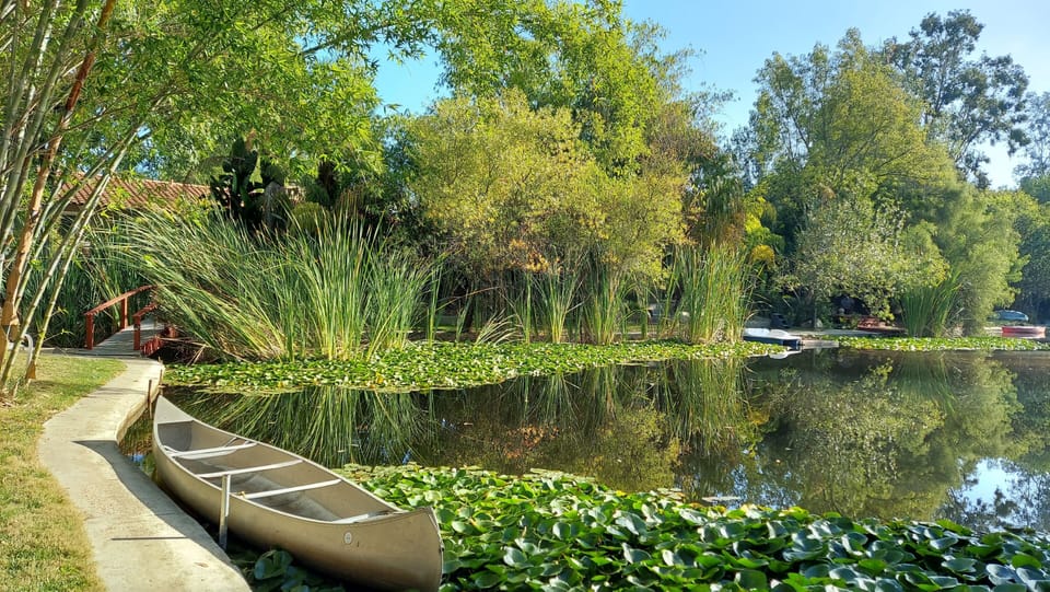 Lake looking toward the house photo taken 11/2021 beautiful!