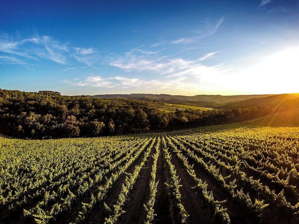 Private vineyards