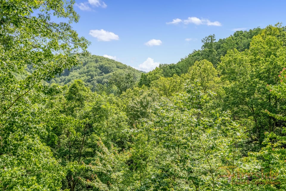 Pigeon Forge Secluded Cabin "A Walk in the Clouds" - Mountain Views