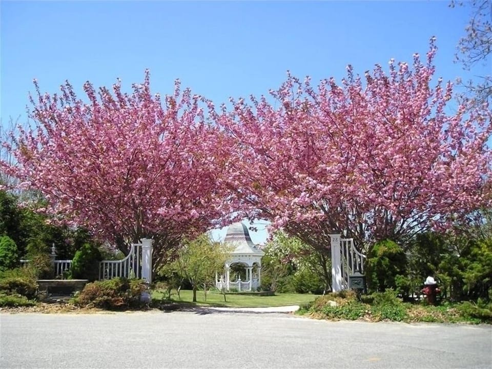 entrance to mallardview