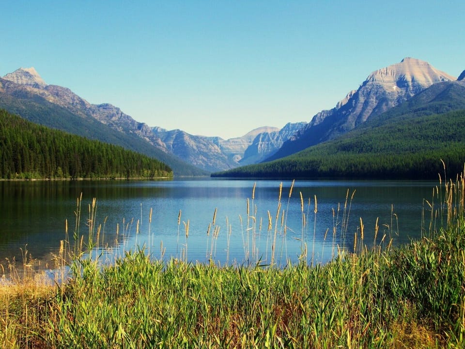 Bowman Lake in the summer in Glacier National Park.