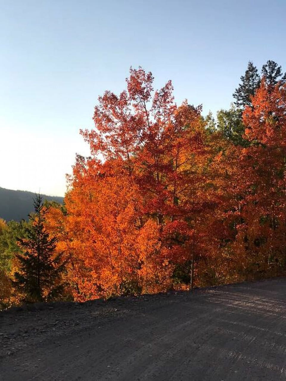 Fall is a great time to visit South Fork!