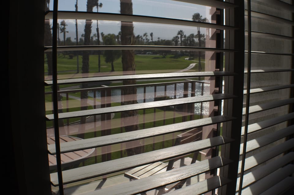 View from Master through Plantation Shutters