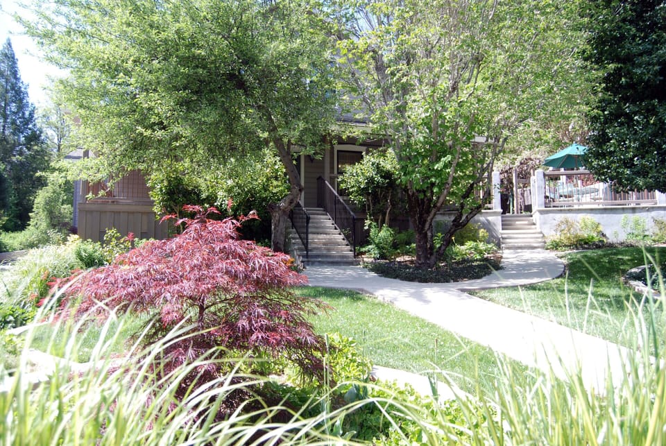 Front Yard