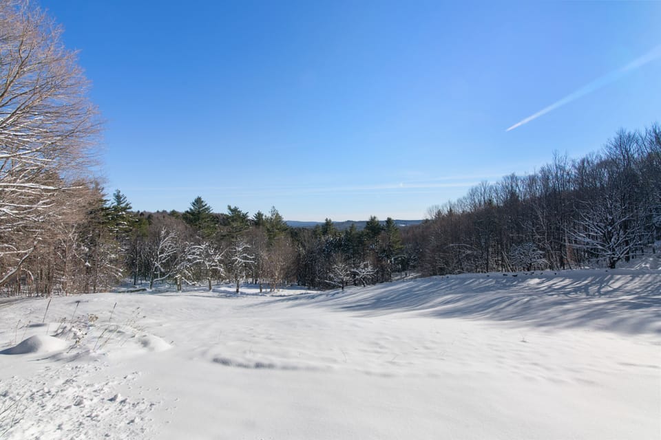 This is the sledding hill as viewed from near house lower level.