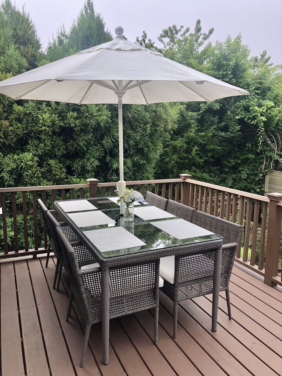 Back deck with seating and grill 