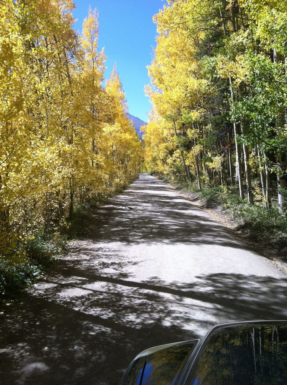 Fall In Breckenridge