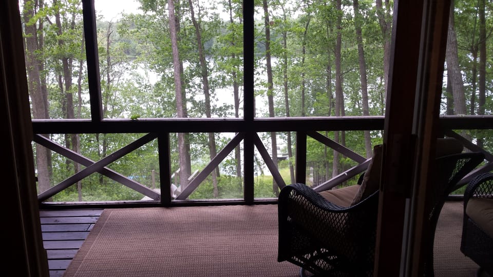 Great lake view from cabin and screen porch. You'll feel and live nature here.