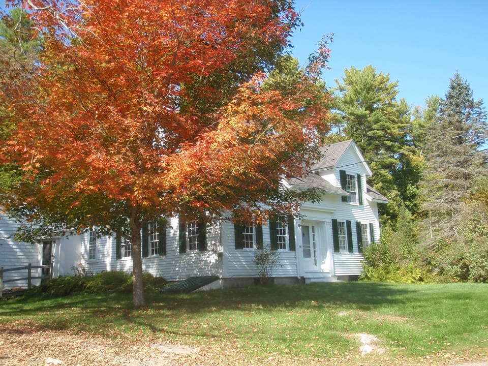 Fall colors