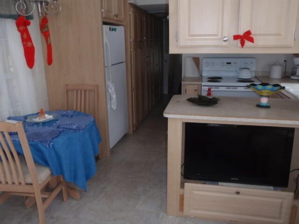 Large Flat screen TV