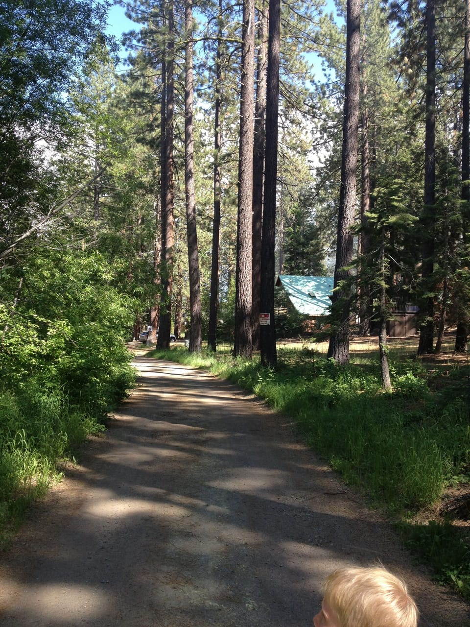 Photo of private road, walking trails and the Tahoe National Forest on the left