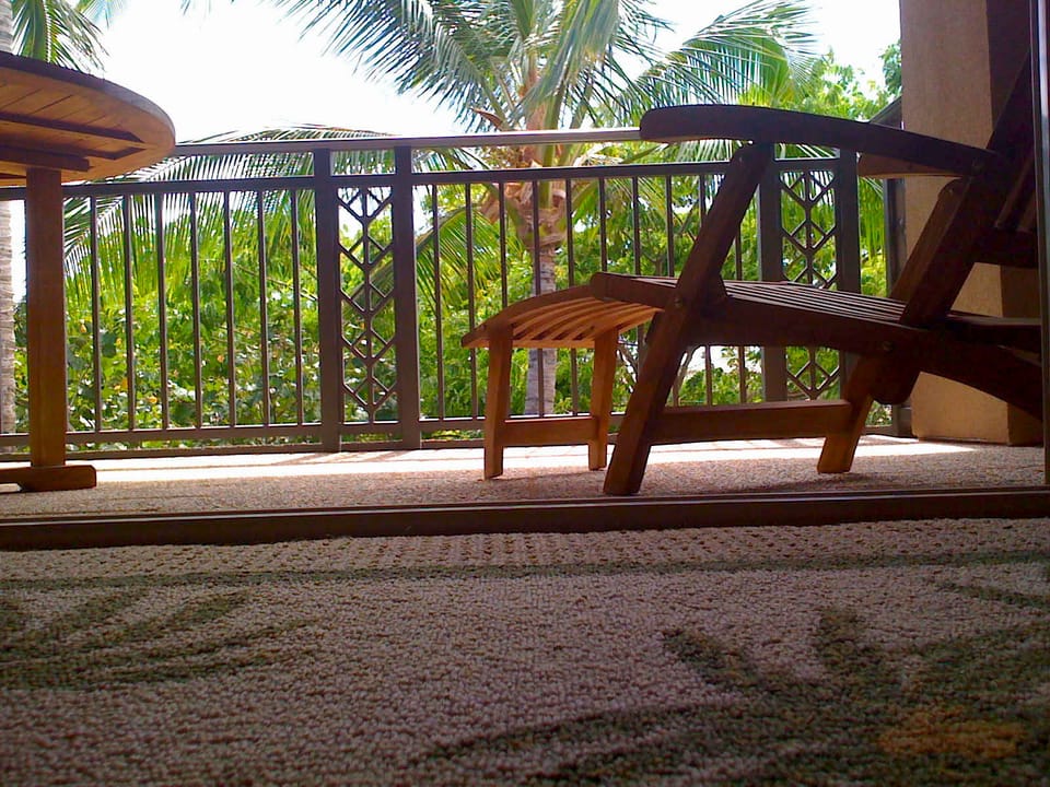 View onto Lanai off Master Bedroom