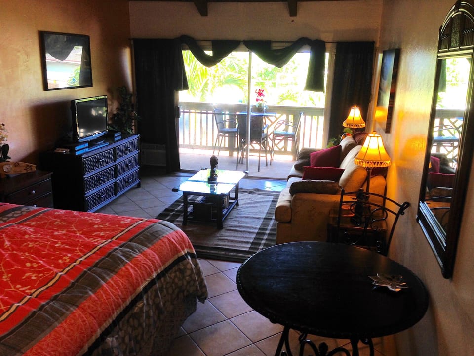 Living, sleeping and dining area.