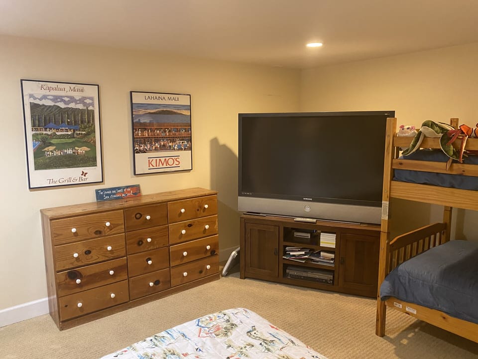 Large TV, toys, books and puzzles for kids.