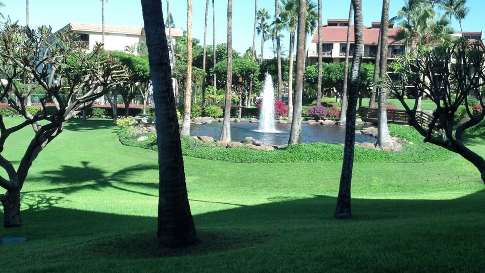 View of Lawn and fountain from lanai.