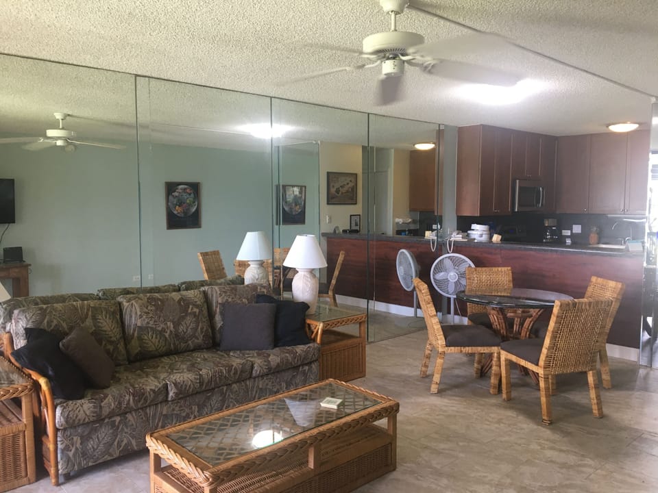 Living room and kitchen