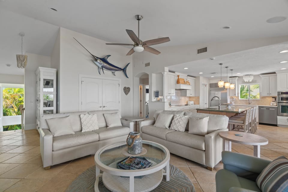 Living room with pull out couch