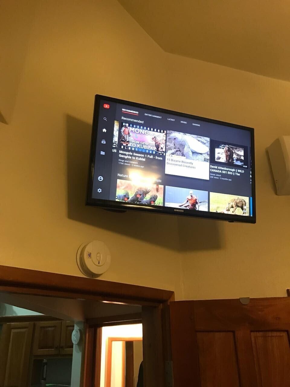 Bedroom T.V with Roku