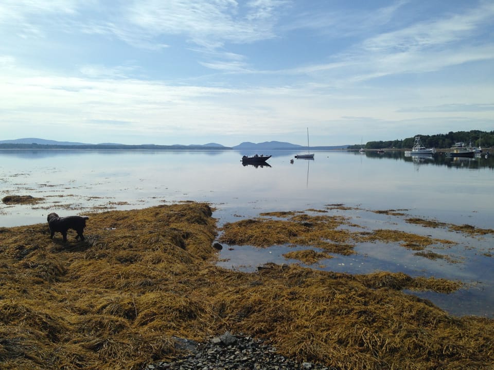 Surry, Maine's hidden gem: Carrying Place Beach.