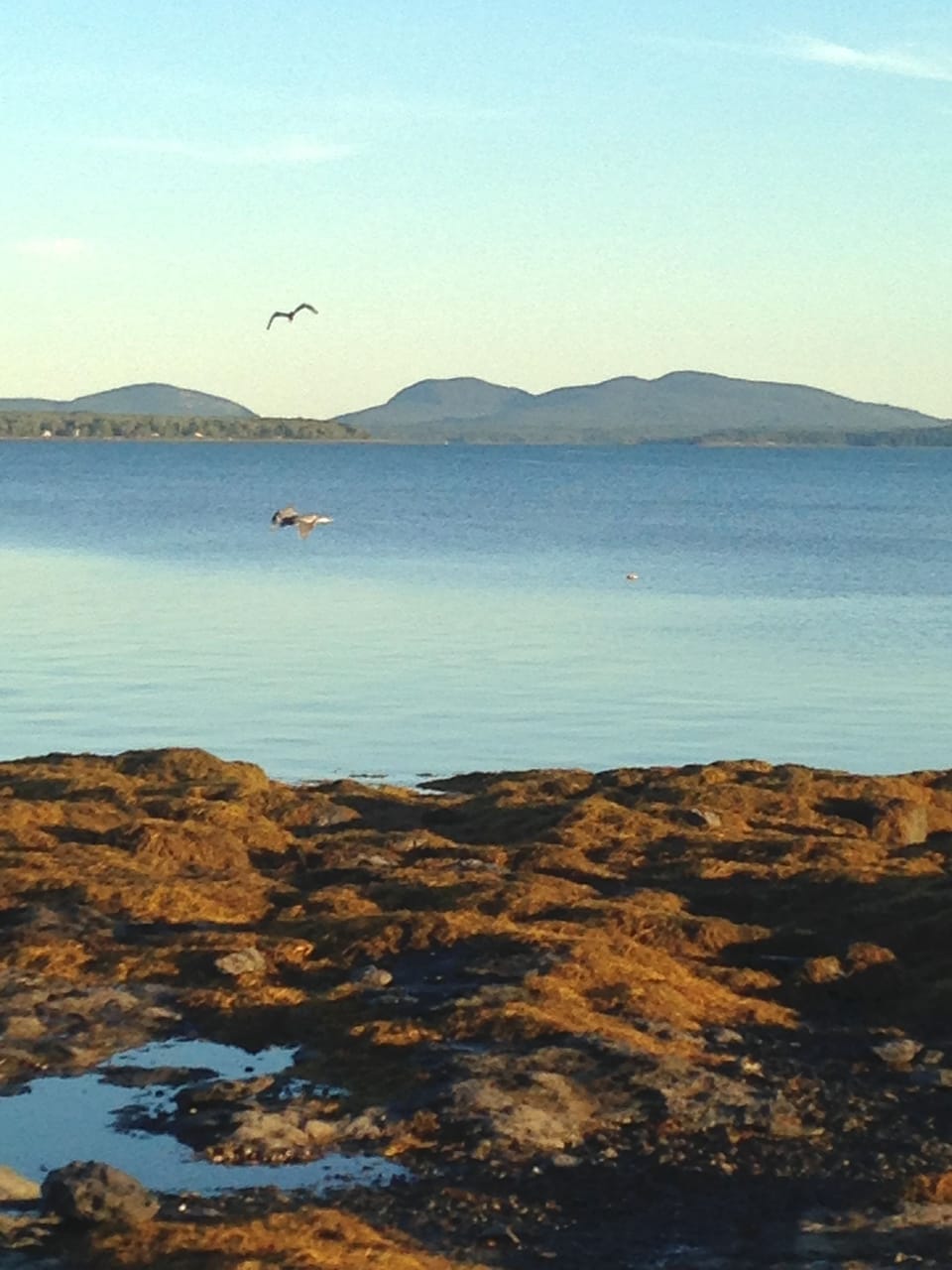 It's a short walk to great views of Acadia National Park from the beach.