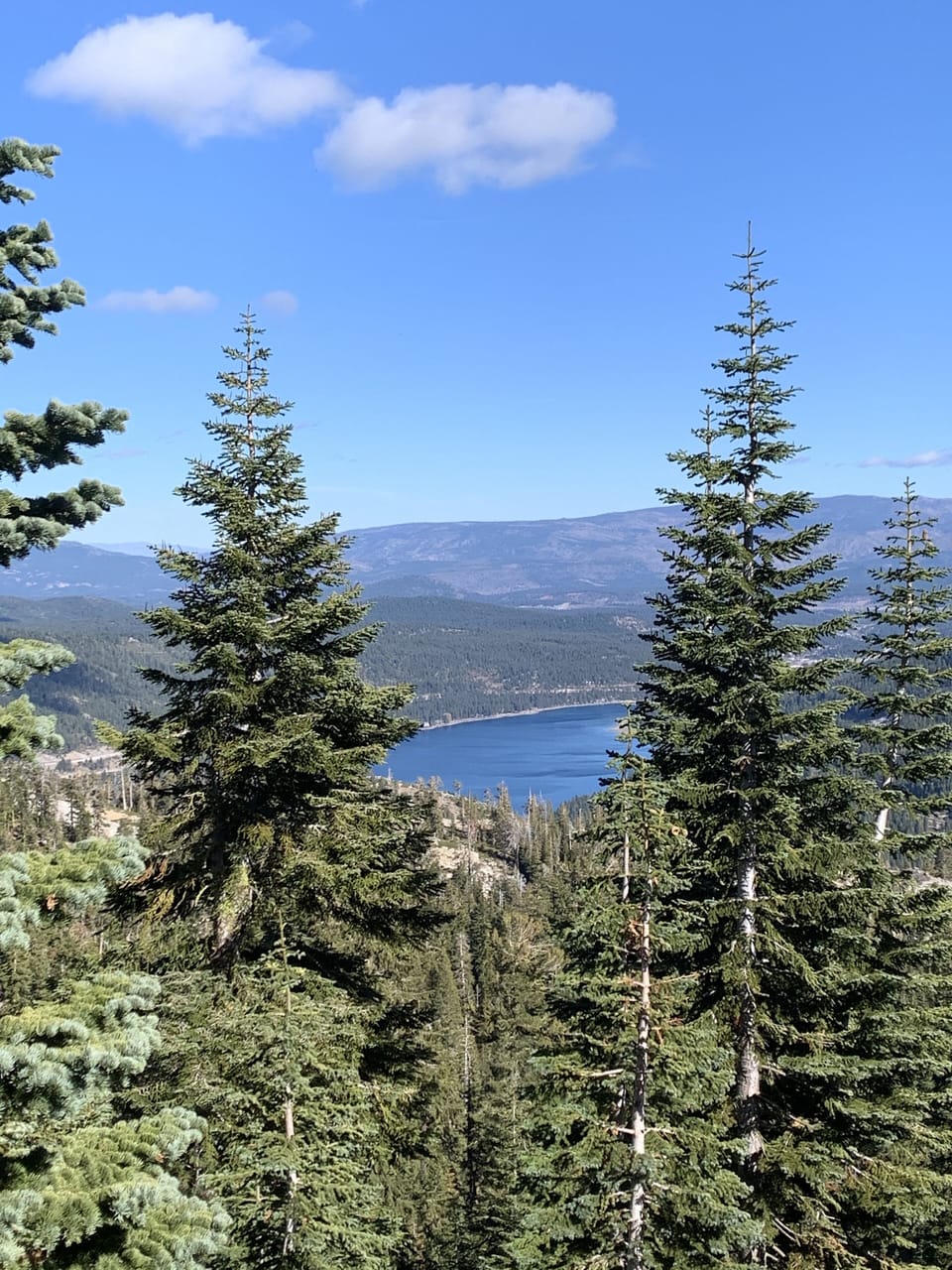 More great hiking!  View of Donner Lake.