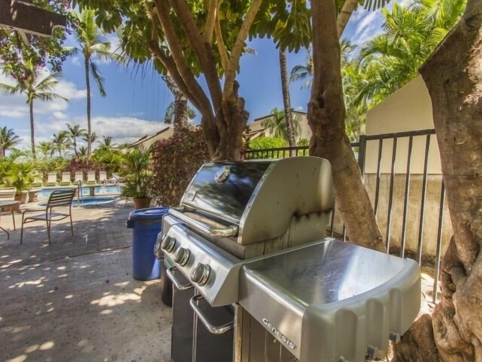 Barbecues provided