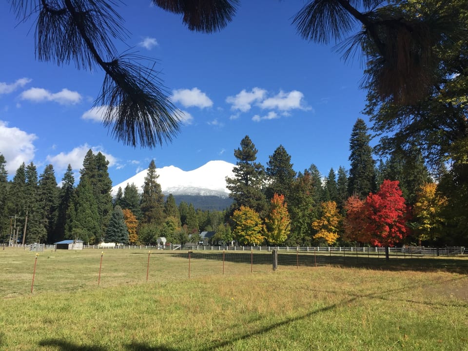 Mt Shasta in the fall, taken on Lassen lane, a quarter mile away from home.