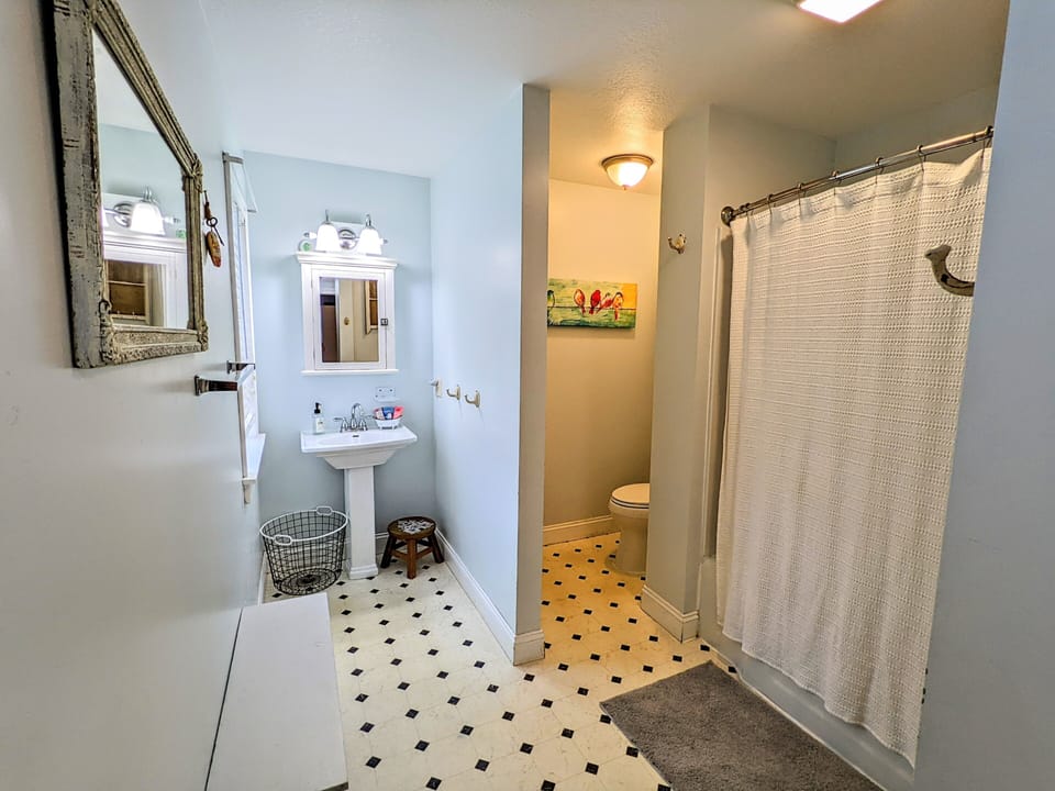 Full master bathroom