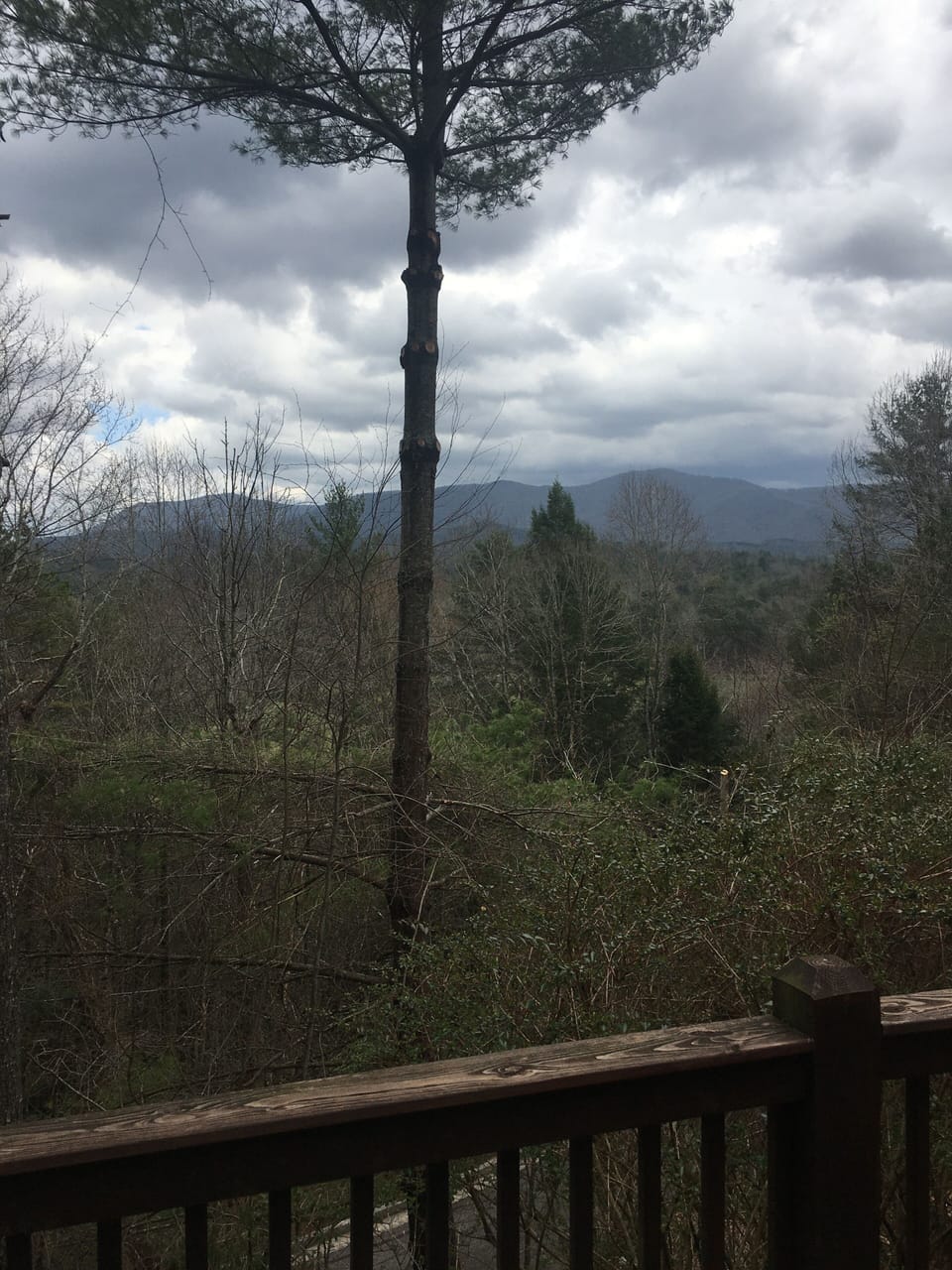 View from property