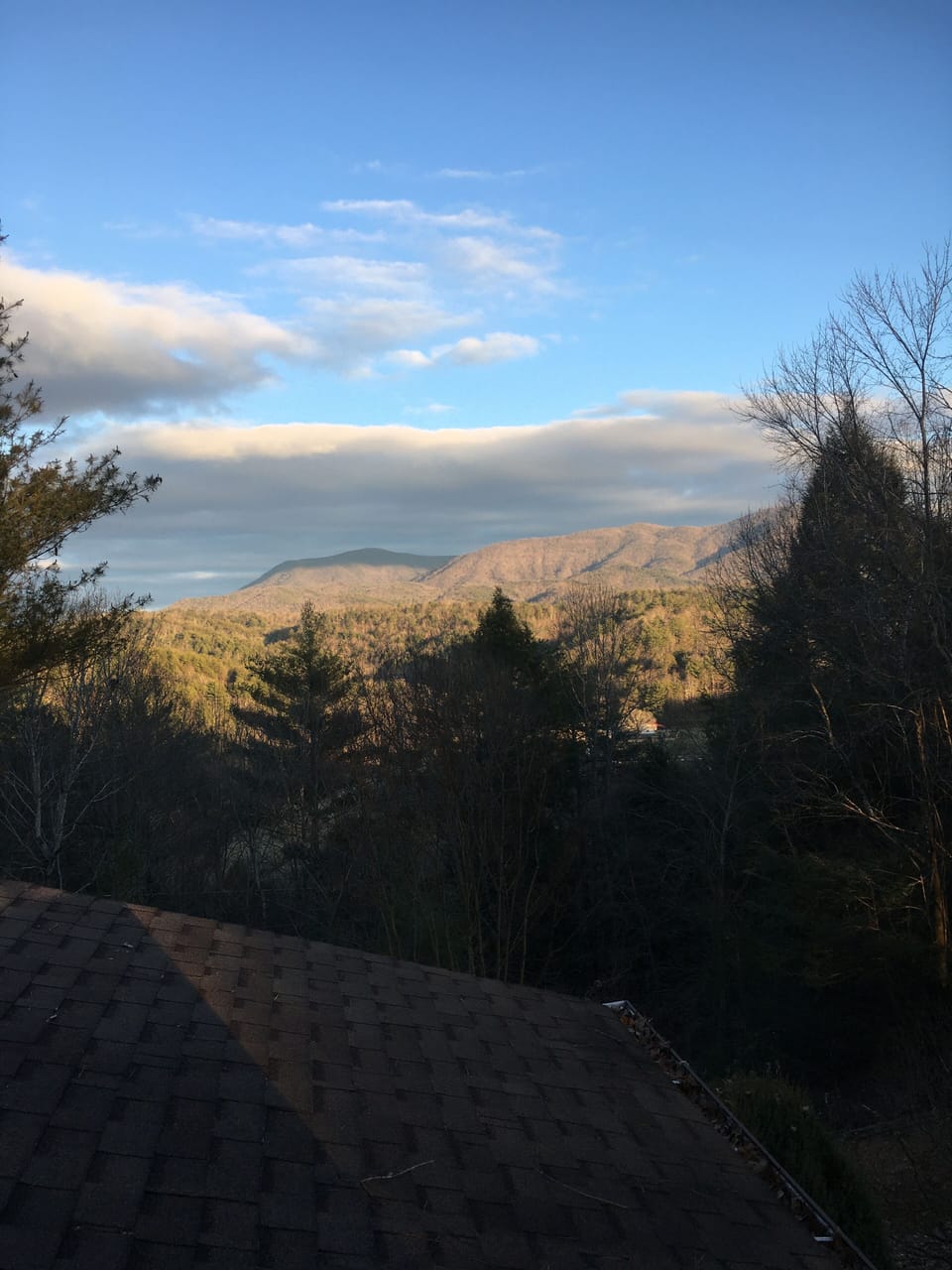 View from property