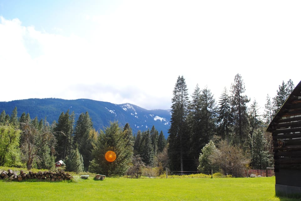 View from the back yard 
