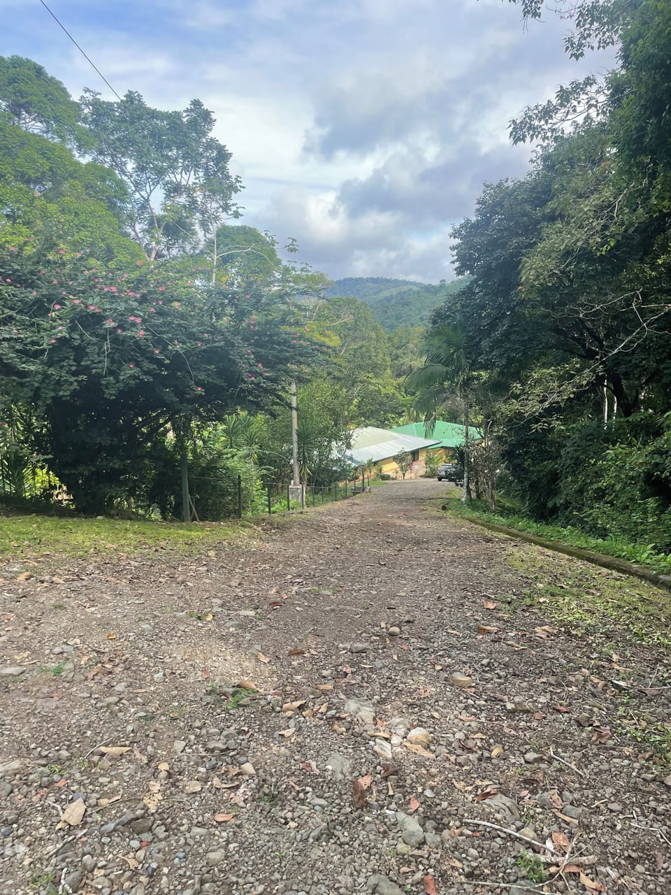 View of villa from road.