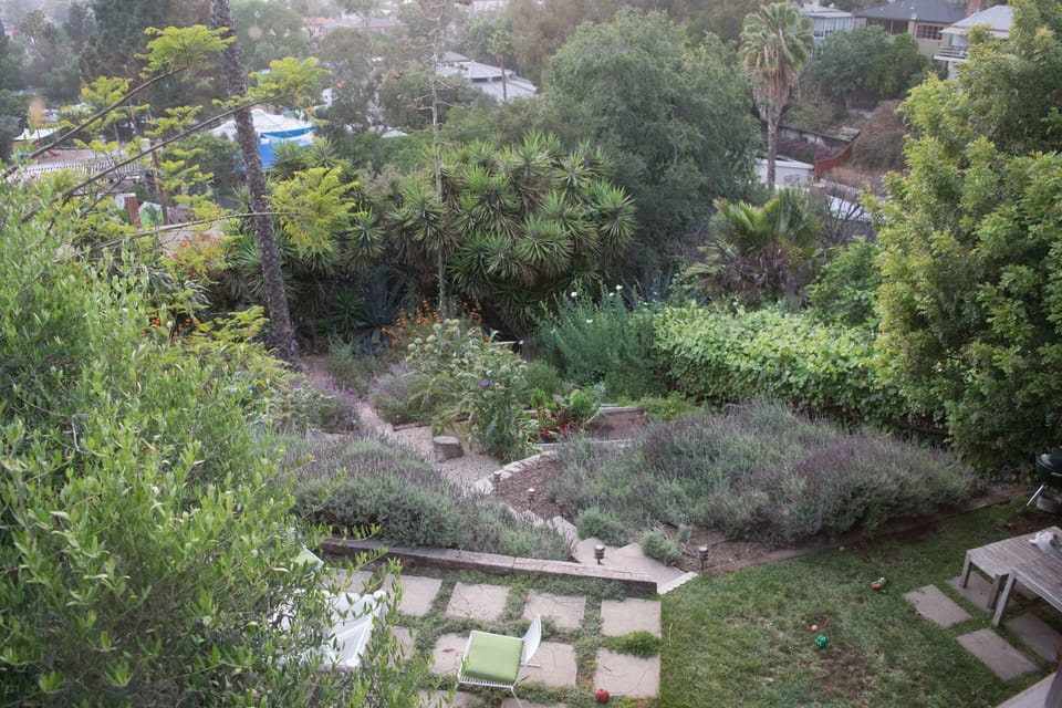 Beautiful terraced garden includes two patios, veggie gardens and CA natives