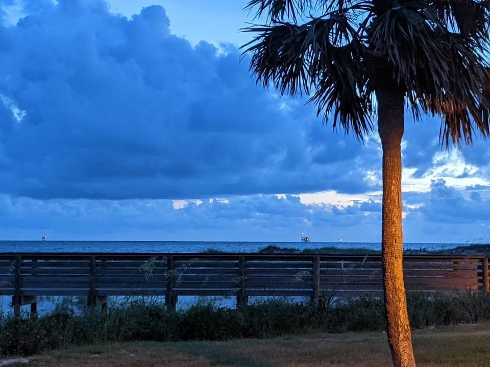 Boardwalk view