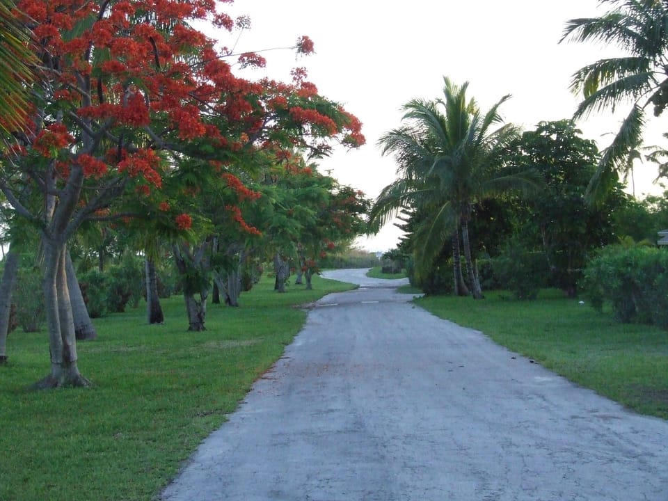 Beach Rd. just a few steps from the beautiful Sea of Abaco- pre Hurricane Dorian