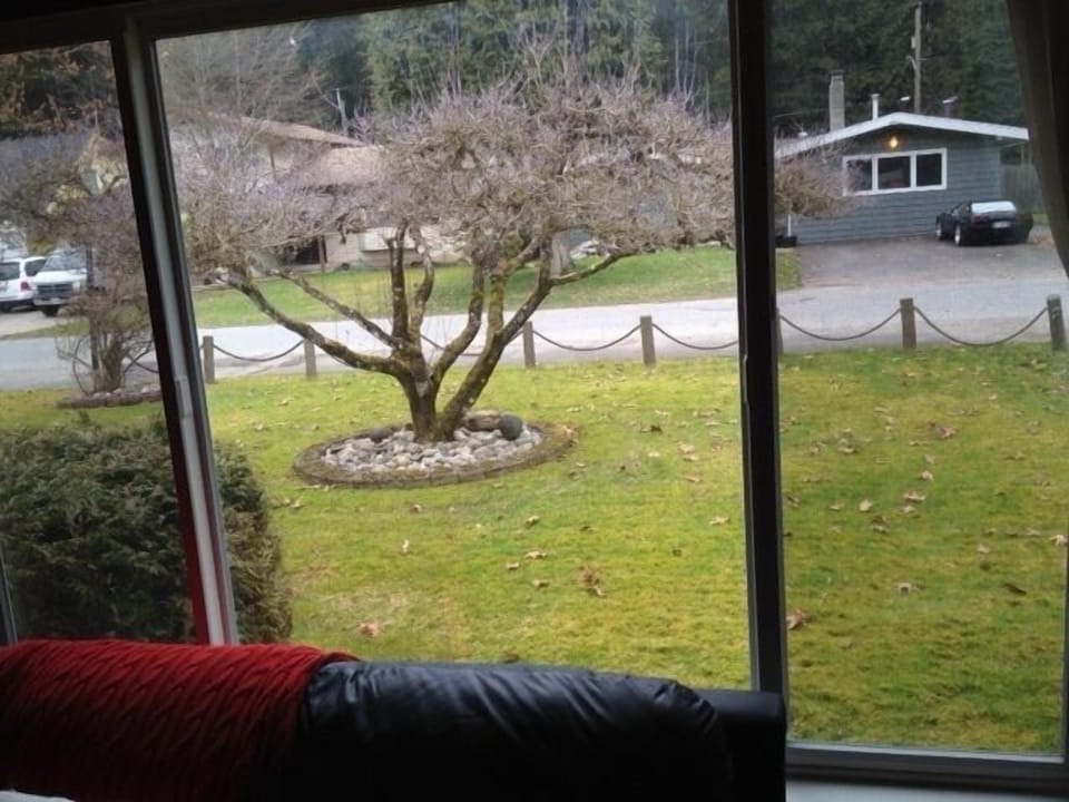 looking outside front room window