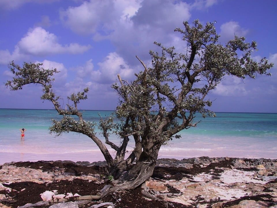 What a place to relax in the sun, where the sand is as fine as silk.