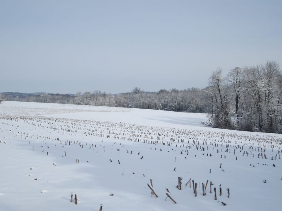 Wintertime view 