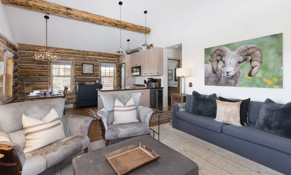 CH 11 Derringer living