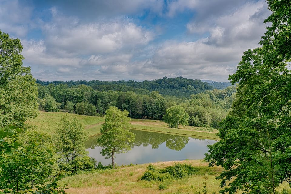 Amazing view of Blue Ridge Mountains - enjoy walking trails on property.