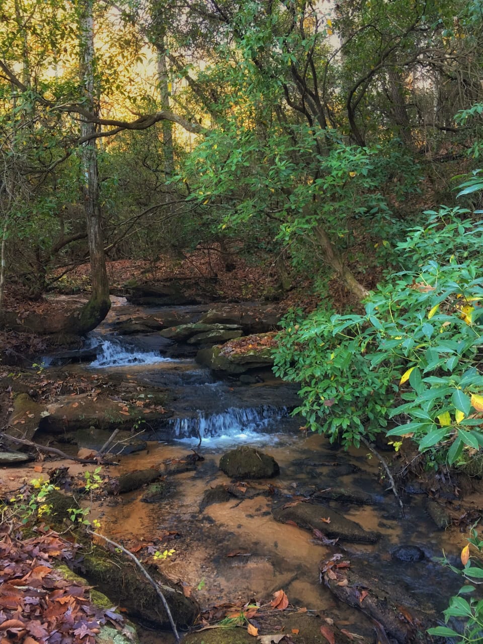 Beautiful walking trails on property