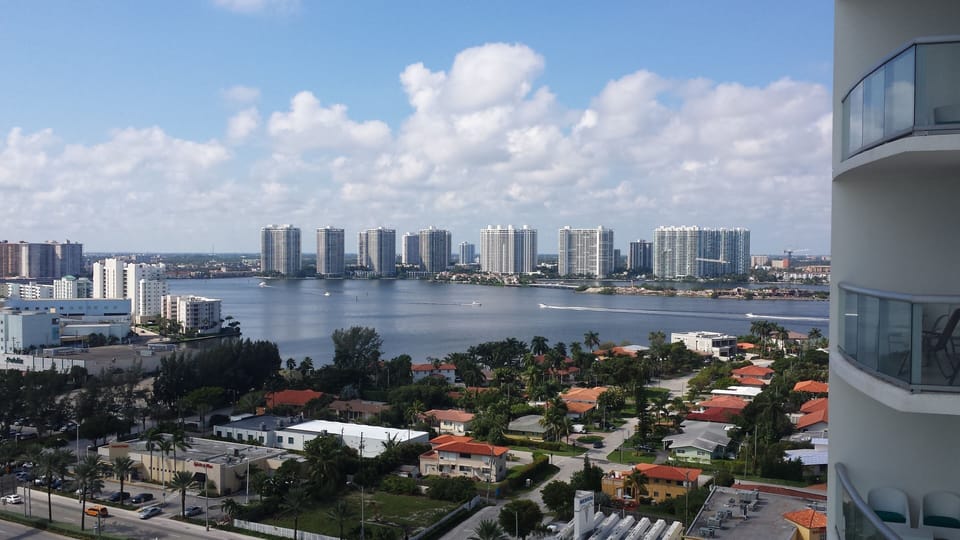 Intercostal view 