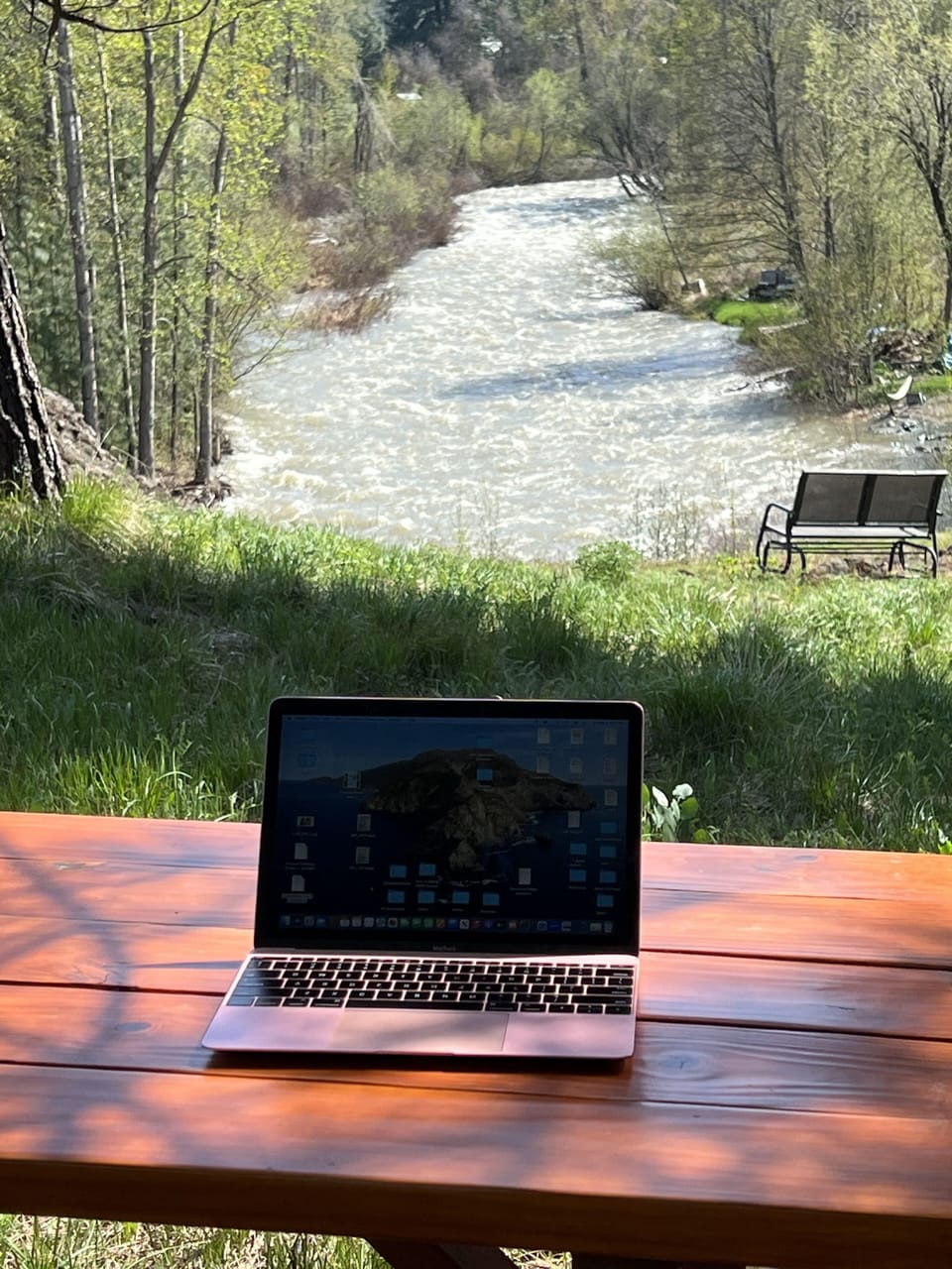 Work remotely with this backyard view! 🌲🐿️