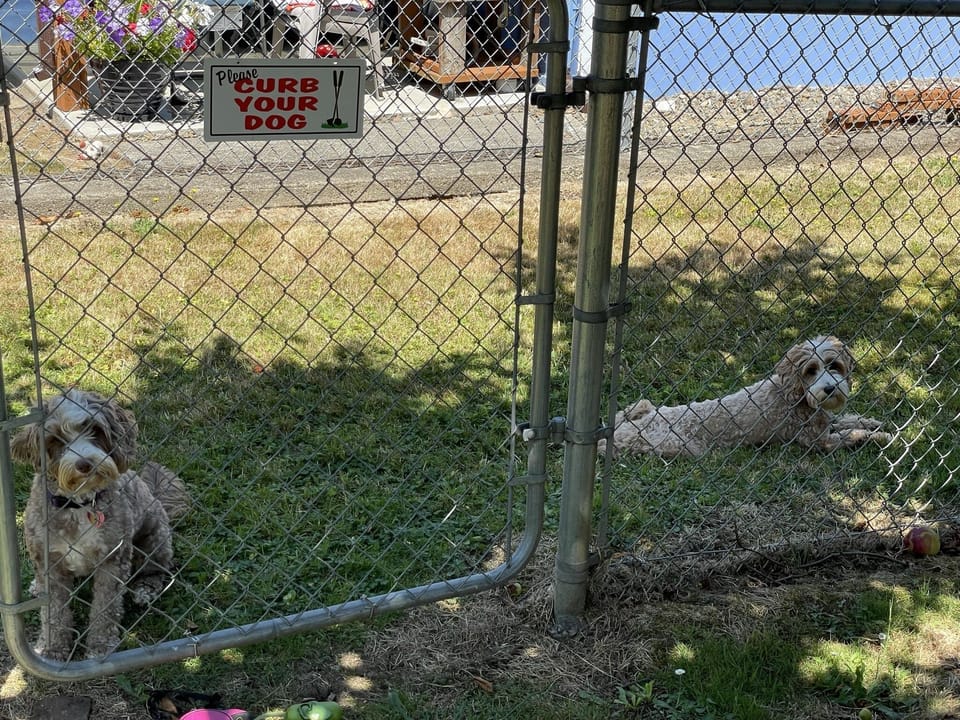Pet-friendly